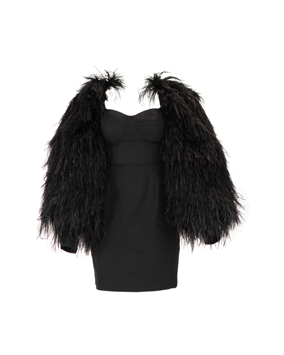 Feathered FOREVER - Dress  The BRAND Label